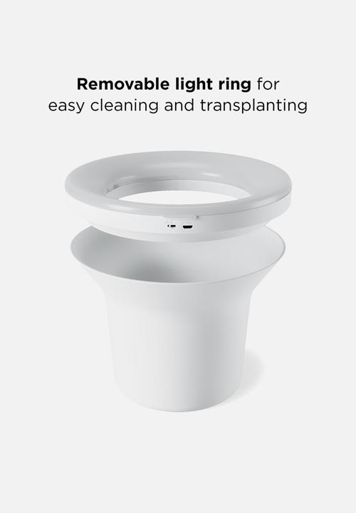 Umbra - Ora planter - white