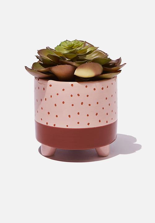 Typo - Small shaped planter - two tone polka