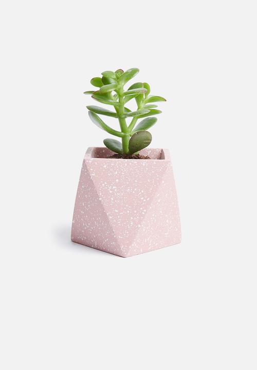 Sixth Floor - Terrazzo desk planter - pink