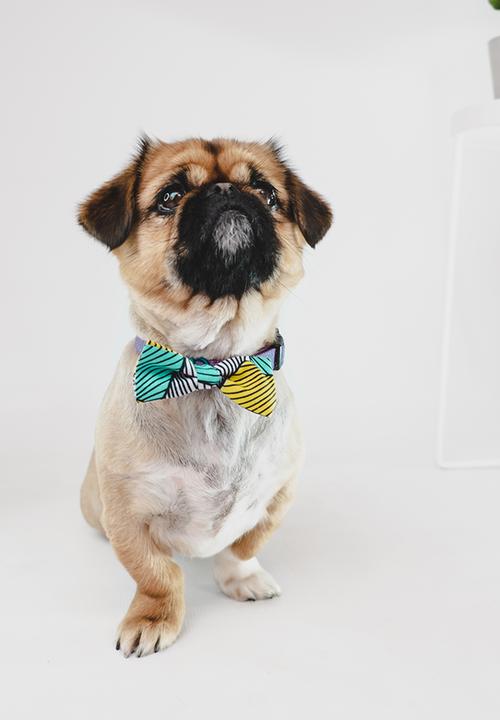 Urban Hound Social - Bow-wow-tie - blue, yellow, white