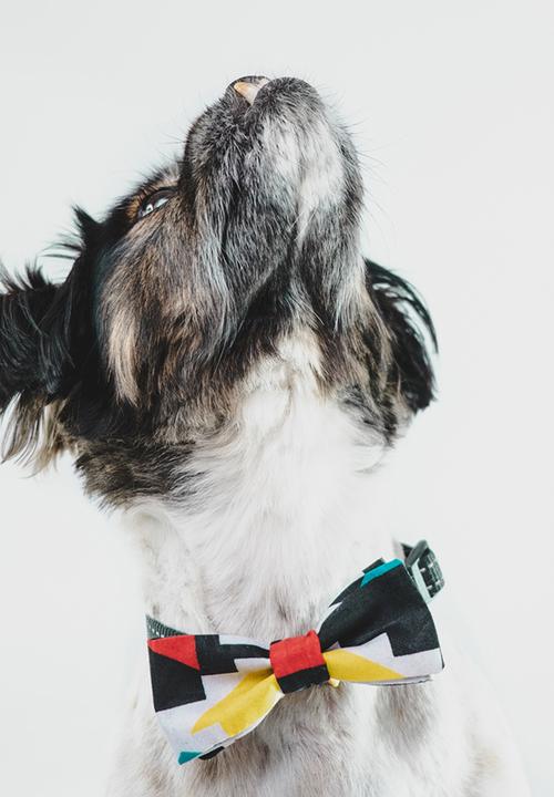 Urban Hound Social - Bow-wow-tie - black, red, yellow