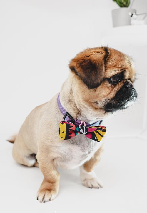 Urban Hound Social - Bow-wow-tie - pink, yellow, black