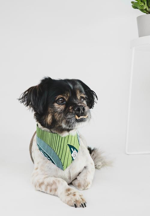Urban Hound Social - The fundana bandana- green, blue, white