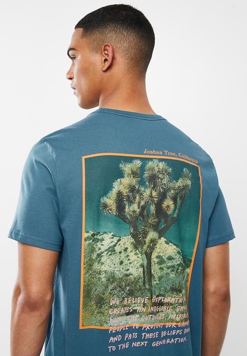 The North Face - Short sleeve graphic tee - blue