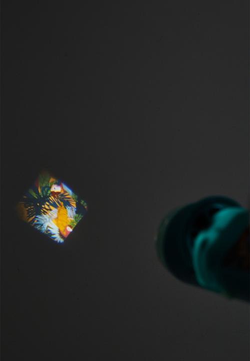 Cotton On - Projector torch - deep jungle
