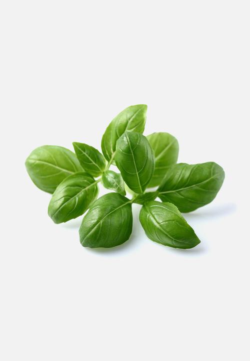 Click and Grow - Basil plant pods 