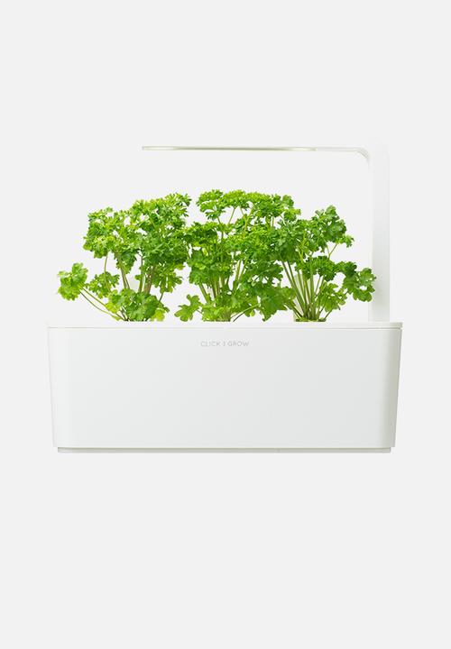 Click and Grow - Parsley - 3 pack