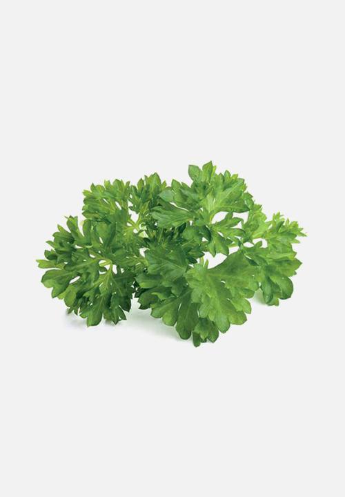 Click and Grow - Parsley - 3 pack