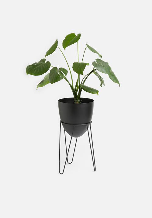 Sixth Floor - Standing egg planter - black