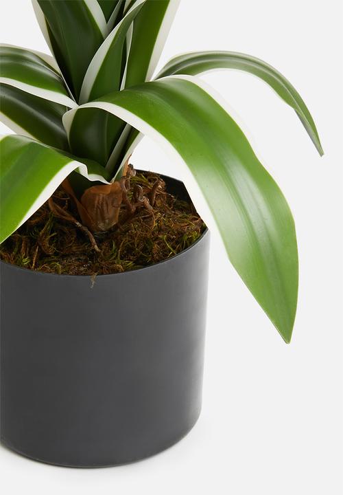 Silk By Design - Yucca bush in pot - green 