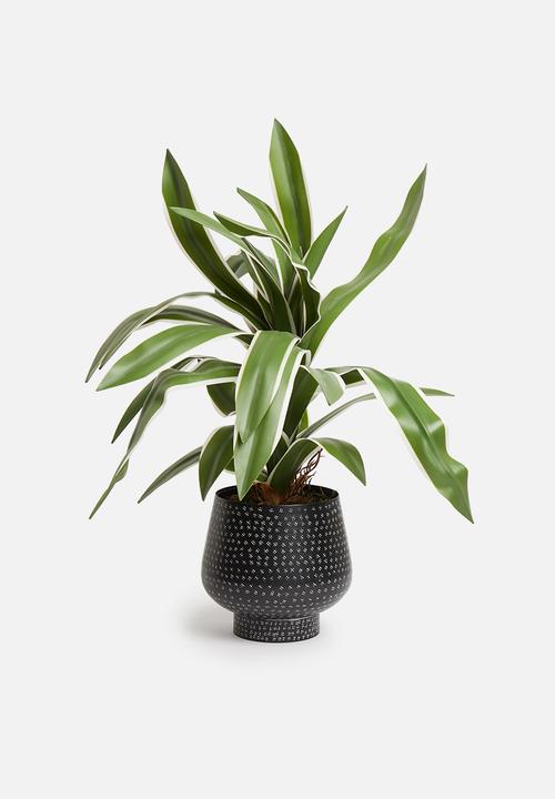 Sixth Floor - Dipple ion planter - black