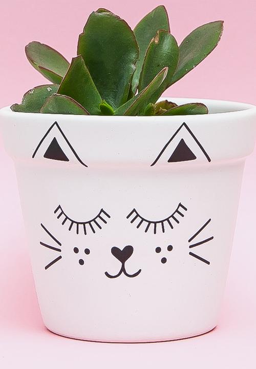 Sugar & Vice - Planter - cutie cat