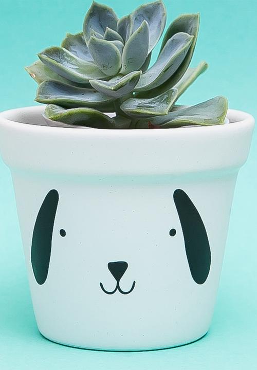 Sugar & Vice - Planter - doggie