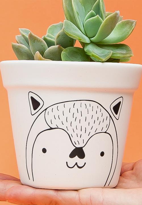 Sugar & Vice - Planter - fox