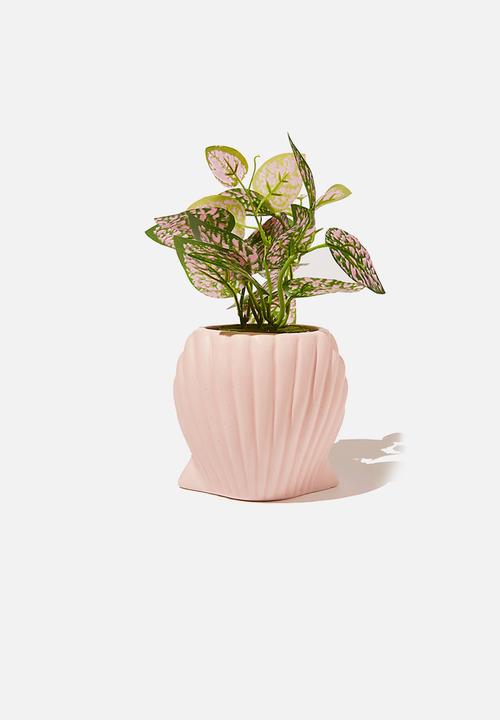 Cotton On - Shaped vase - shell