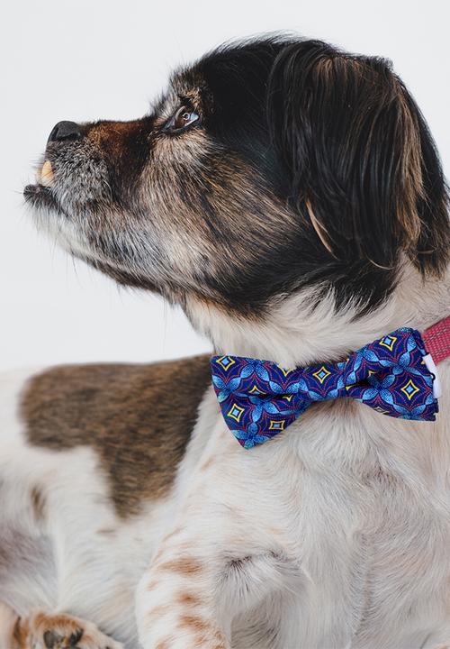 Urban Hound Social - Bow-wow-tie - blue shweshwe