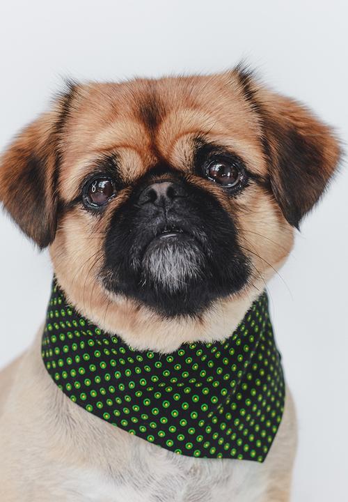 Urban Hound Social - The fundana bandana - green shweshwe
