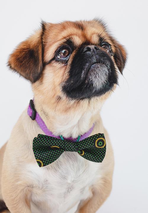 Urban Hound Social - Bow-wow-tie - green shweshwe