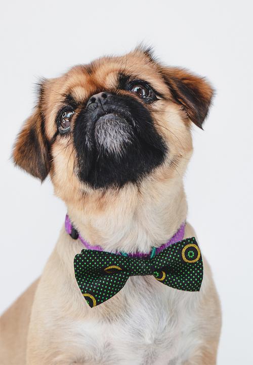 Urban Hound Social - Bow-wow-tie - green shweshwe
