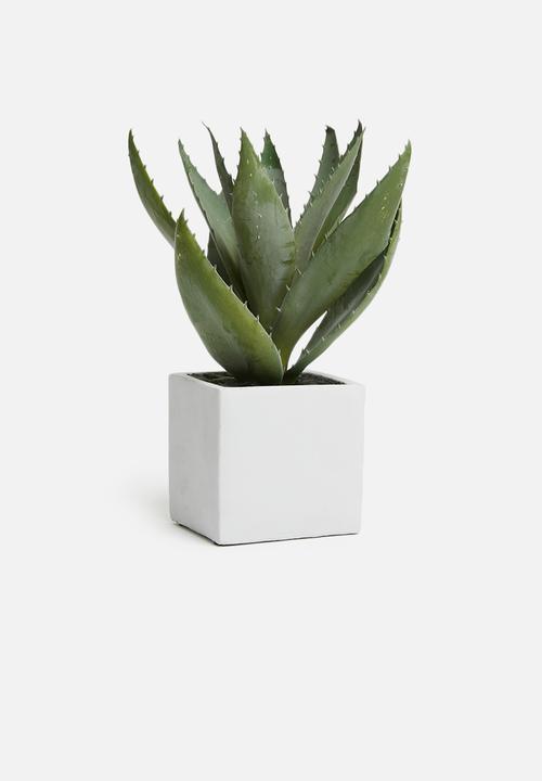 Silk By Design - Succulent arrangement - green 