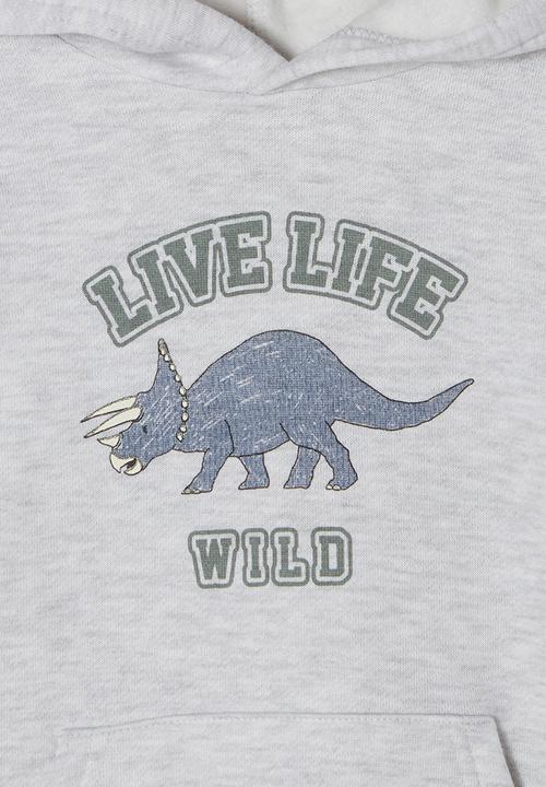Cotton On - Milo hoodie - summer grey marle