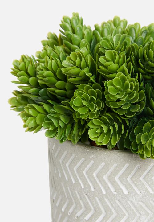 Sixth Floor - Tales potted artificial succulent