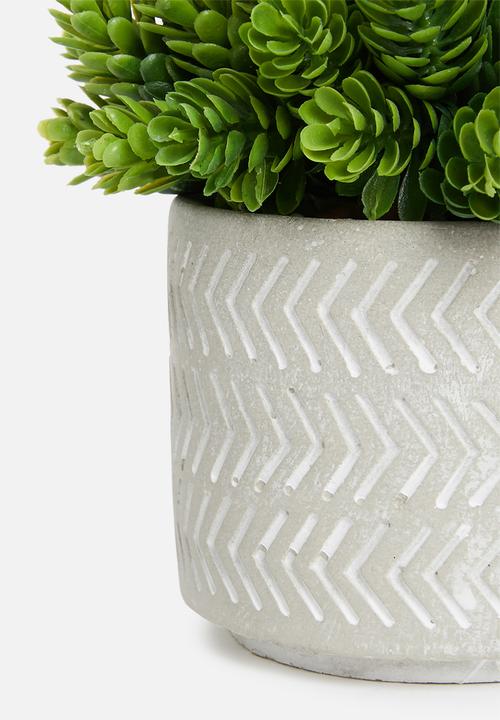 Sixth Floor - Tales potted artificial succulent