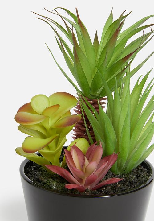 Sixth Floor - Assorted potted artificial succulent