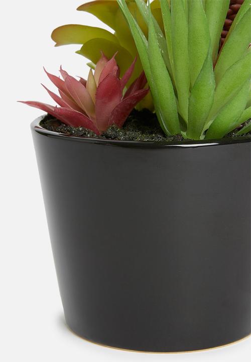 Sixth Floor - Assorted potted artificial succulent