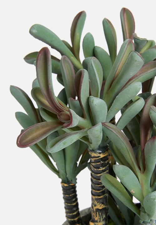 Sixth Floor - Pink tipped potted artificial succulent