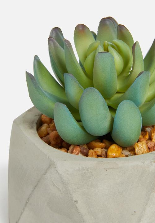 Sixth Floor - Hexagon potted artificial succulent