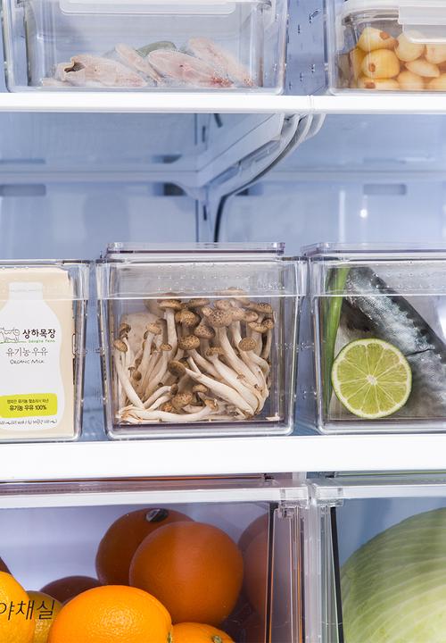 Litem - Fridge multi tray storage - small
