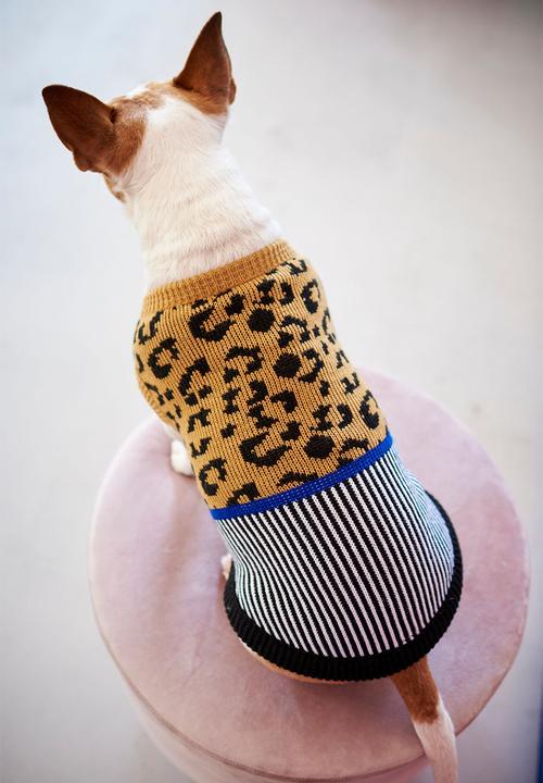 Lucky and Lou - Kennedy dog jersey - multi