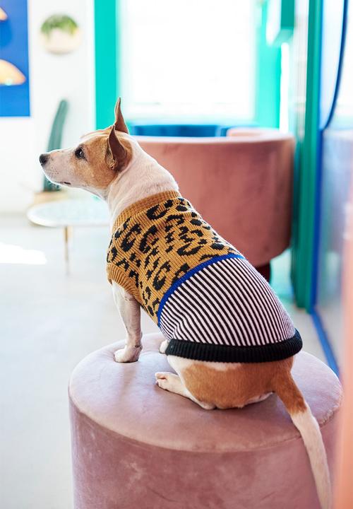 Lucky and Lou - Kennedy dog jersey - multi