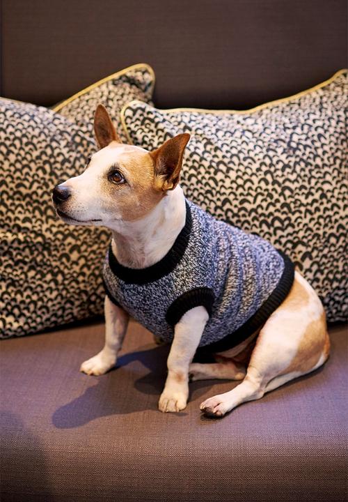 Lucky and Lou - Ziggy knitted dog jersey - grey