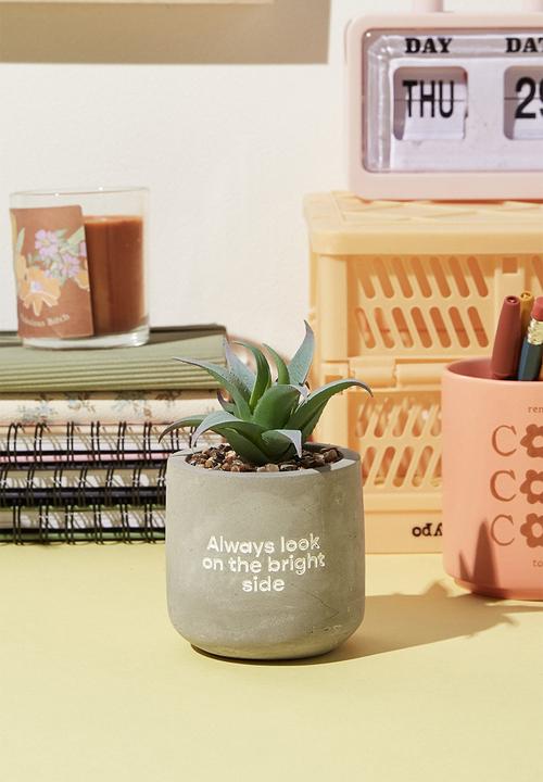 Typo - Tiny planter with plant-concrete bright side