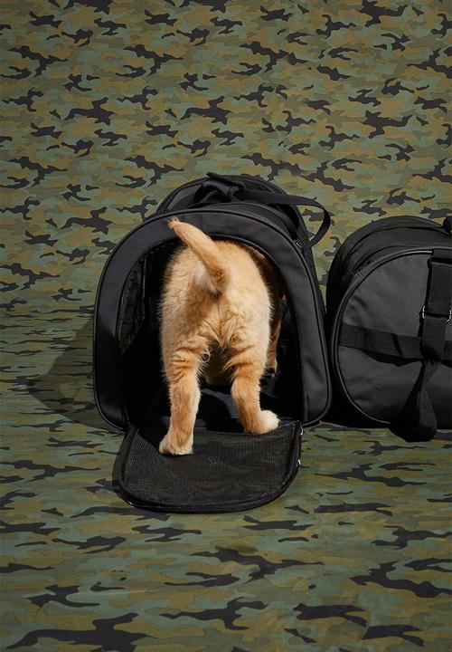 Typo - Explorer doggy duffel - black