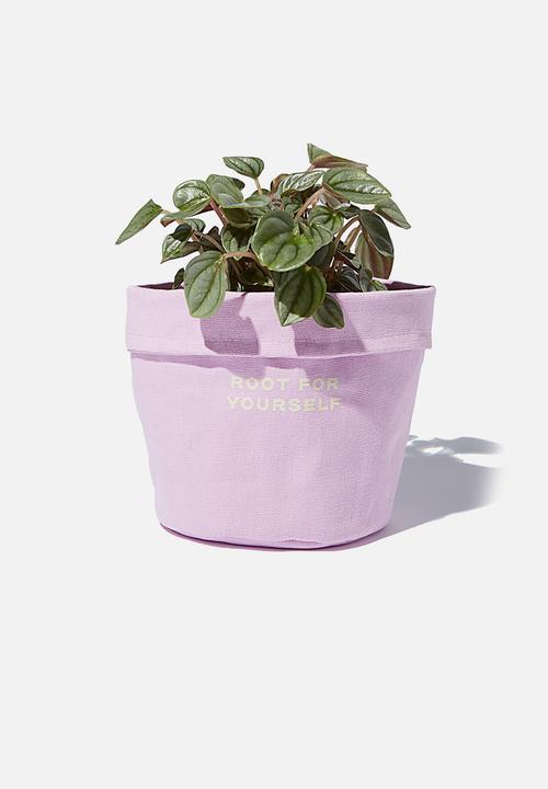 Typo - Canvas planters-root for yourself pale lilac
