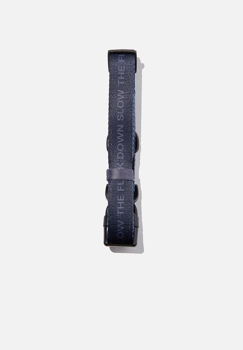 Typo - Pet club pet collar - slow down!!