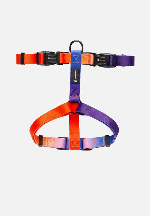 Urbanpaws - Finn harness and lead pack -multi