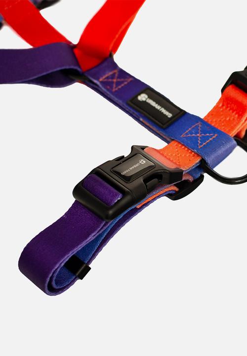 Urbanpaws - Finn harness and lead pack -multi