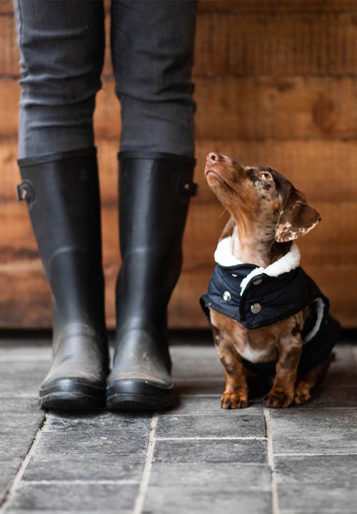 Urbanpaws - Giles puffer jacket-black