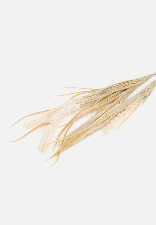 Silk By Design - Pampas grass - natural