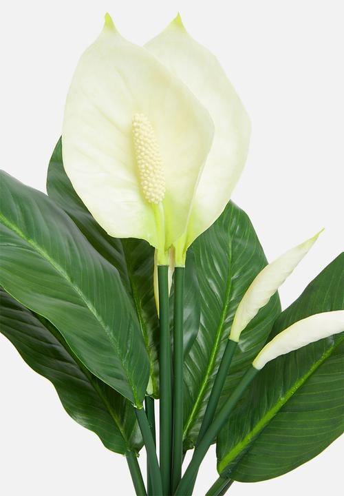 Silk By Design - Spathiphyllum artificial plant - black
