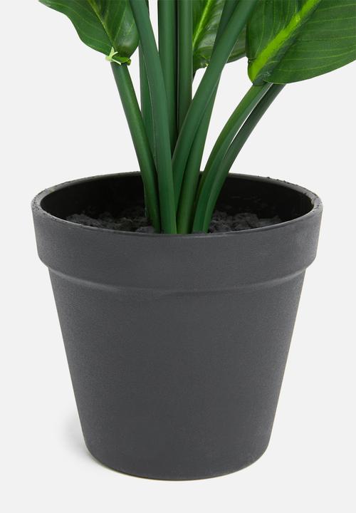 Silk By Design - Spathiphyllum artificial plant - black