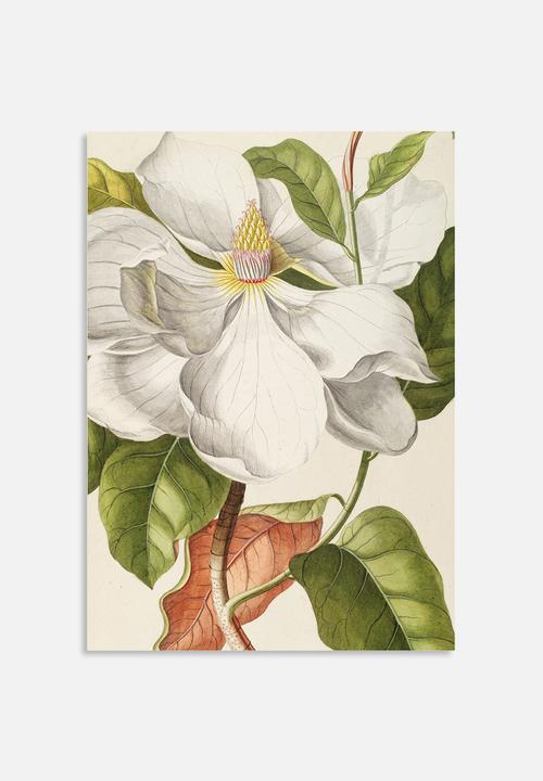 Elsje Designs - Magnolia black and white set of 2
