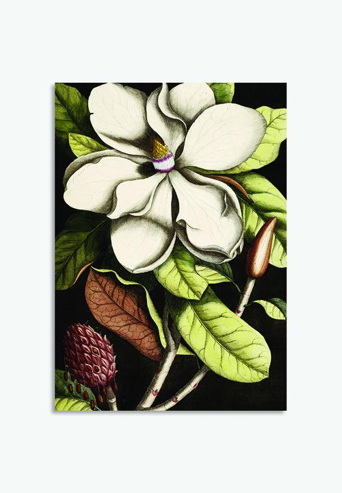 Elsje Designs - Magnolia black and white set of 2