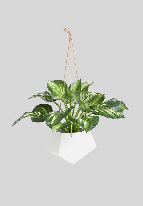 Grey Gardens - Diamond shape hanging planter - white