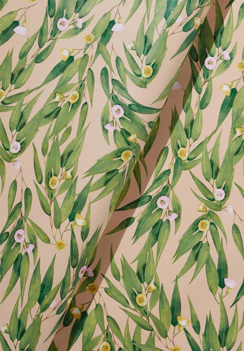 Typo - Wrapping paper roll - eucalypt gumnut sand