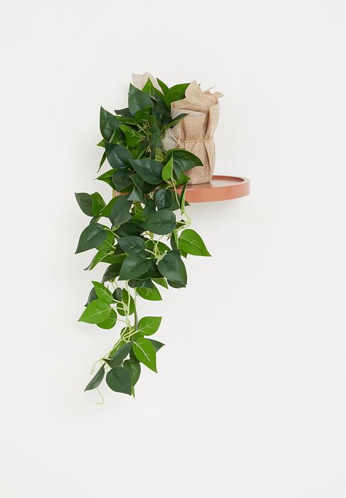 Typo - Midi plant-hanging vine